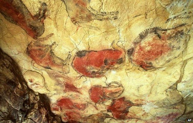 A 14,000-year-old painting of bison, on the ceiling of the Altamira cave in northern Spain, shown in a 1985 file photo