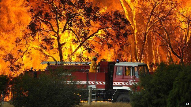 A fire engine against a backdrop of a wild bushfire