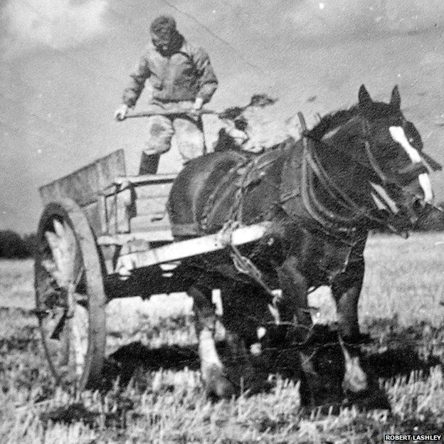 Black and white photo of a man standing on a horse and cart