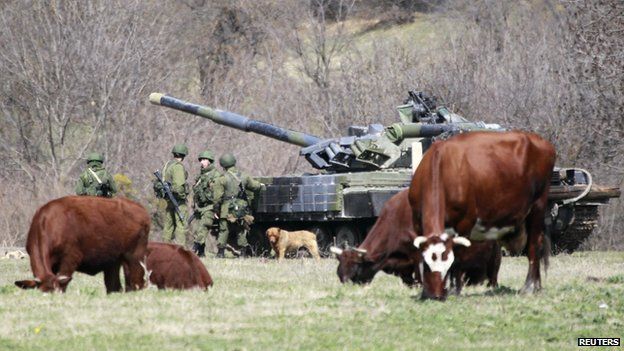 Cows graze near a tank and servicemen, believed to be Russian, outside a military base in Perevalnoye, near the Crimean city of Simferopol, on 27 March 2014.