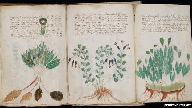 Voynich Manuscript