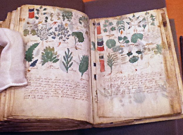 Voynich Manuscript