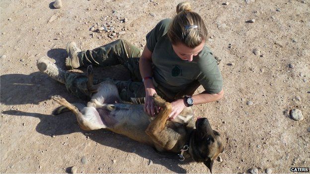 Soldier Saves Bomb Dog Threatened With Being Put Down - BBC News