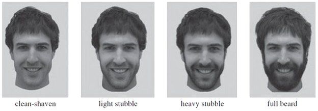 Four levels of beardedness