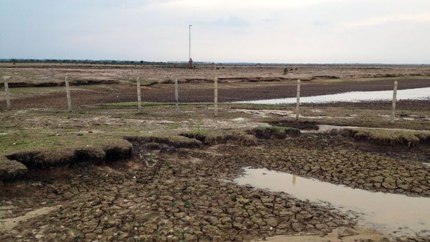Dry plains in Casanare
