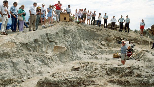 Excavation of Wankel T-Rex at Fort Peck, Montana