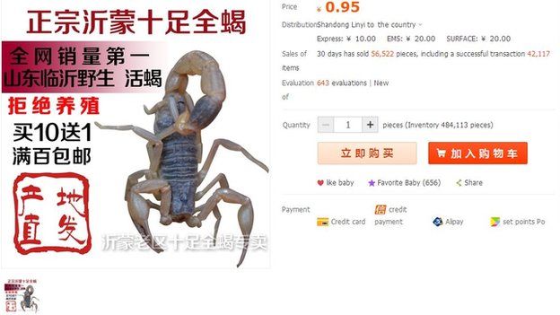 Scorpion for sale