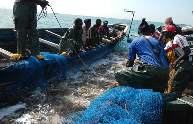 Fishermen in Mauritania