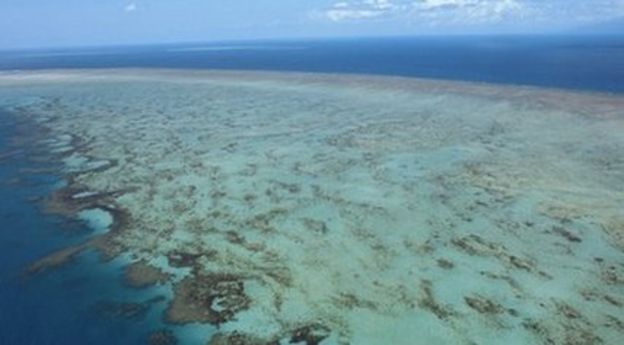 Sediment could harm Great Barrier Reef, say UN scientists - BBC Newsround