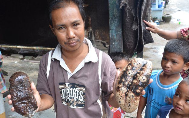 A fisherman shows off two varieties of sea cucumber
