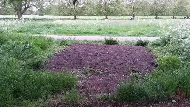 Dug-over potato patch on Stourbridge Common