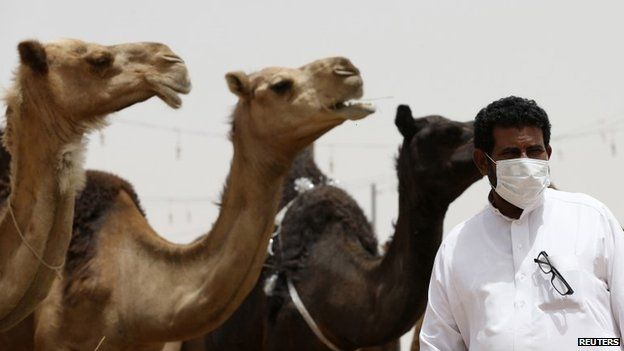 Masked man posing with camels, Saudi Arabia, 11 May 2014