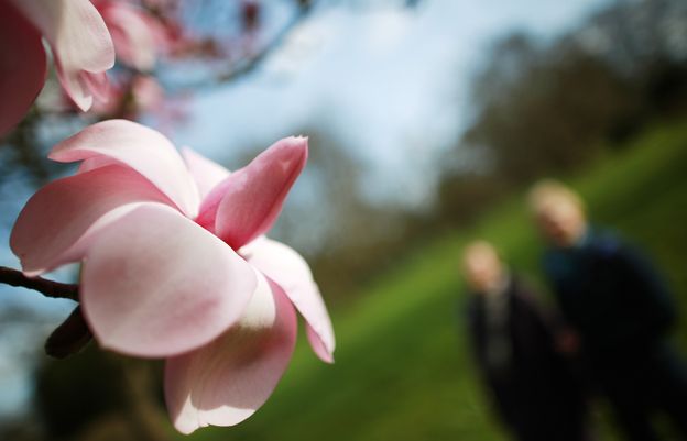 A pink flower, with a park and two people blurred in background