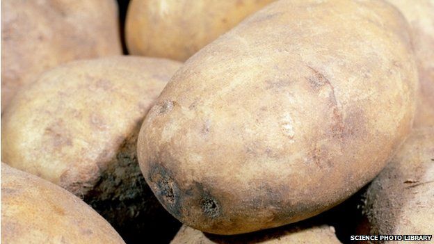 File photo of a potato