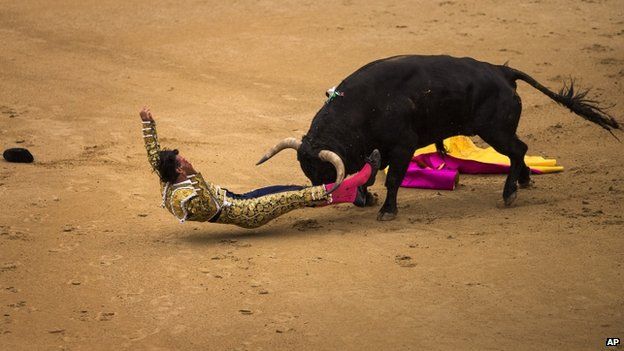 Madrid matadors gored by bulls at festival launch - BBC News