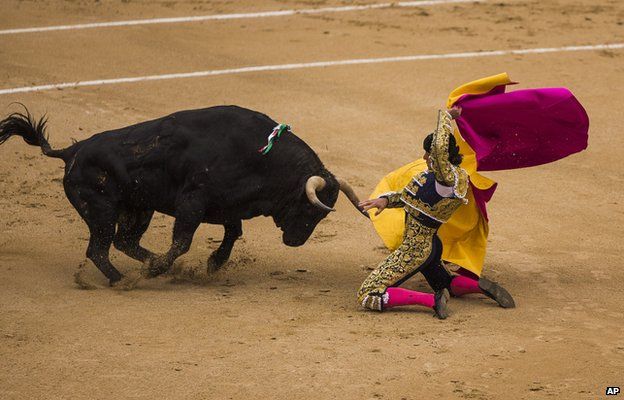 Spanish bullfighter David Mora is tossed by a El Ventorrillo ranch fighting bull during a bullfight at Las Ventas bullring in Madrid, Spain, Tuesday, May 20, 2014