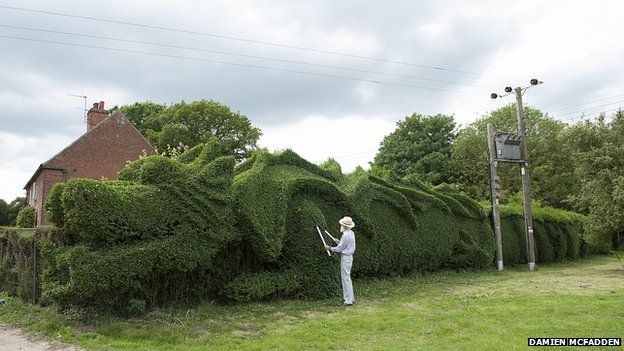 John Brooker clipping the dragon-style topiary