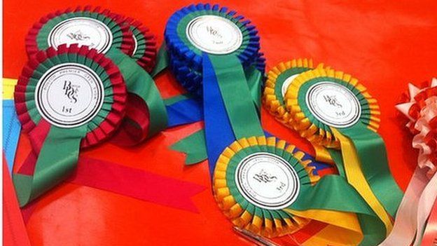 Rosettes for contestants in the town's dog show