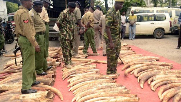 Kenyan police officers look on June 5, 2014 at 302 pieces of ivory, including 228 elephant tusks, found and seized the day before in a warehouse during a raid in the port city of Mombosa