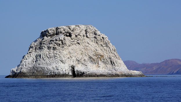 Island covered in guano
