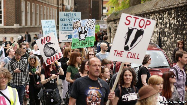 Protest against English cull