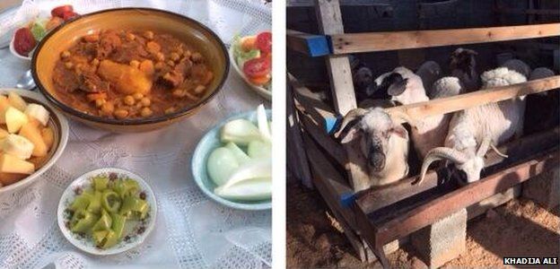 A composite image posted on Twitter by Khadija Ali showing food and some goats