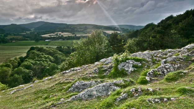 Your Pictures Photos From Wales BBC News your-pictures-photos-from-wales-bbc-news