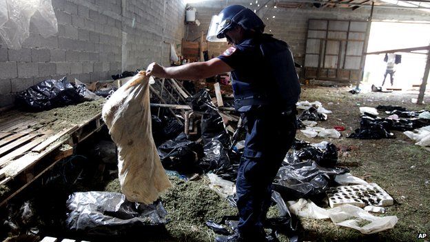 Albanian police seize marijuana in a storage building in the lawless village of Lazarat, 230 kilometres (140 miles) south of capital Tirana, on 18 June 2014