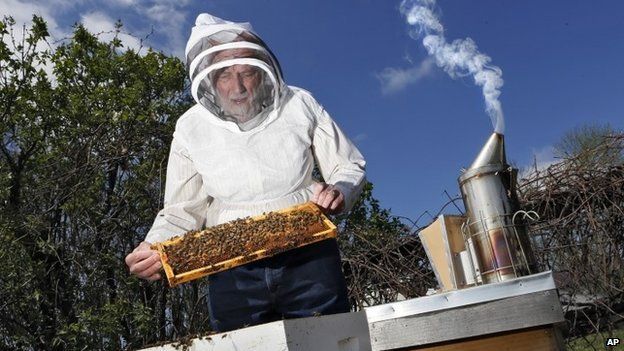 Barry Conrad inspects his honey bees at his Canal Winchester, Ohio, honey farm 23 April 2014