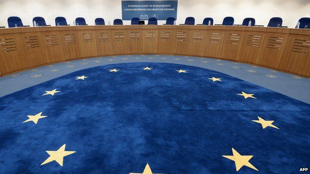 The European flag is pictured of the floor of a hearing room at the European Court of Human Rights, 27 November 2013.