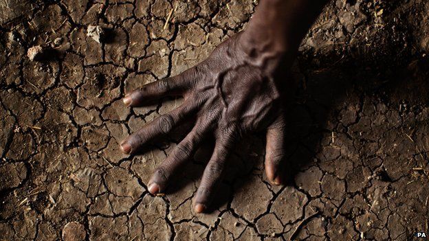 Man's hand on parched soil