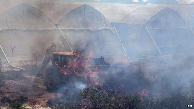 An Israeli farmer in Ashkelon attempts to put out a fire caused by a rocket attack, 15 July