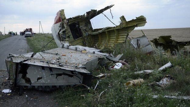 A picture taken on 17 July, 2014, shows the wreckages of the Malaysian airliner carrying 298 people from Amsterdam to Kuala Lumpur after it crashed, near the town of Shaktarsk, in rebel-held east Ukraine