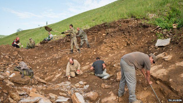 Excavation of bonebed in Kulinda dinosaur locality, Jurassic, southeastern Siberia