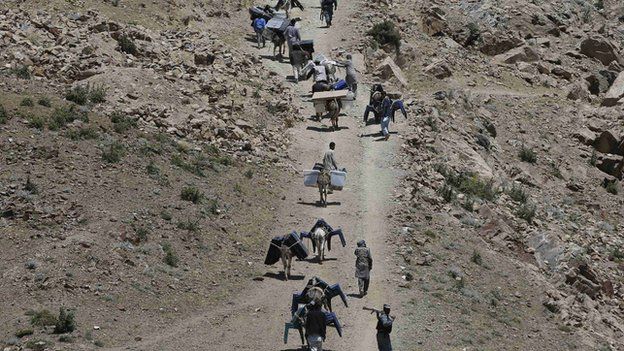Election workers used donkeys in some remote parts of Afghanistan to transport ballot boxes
