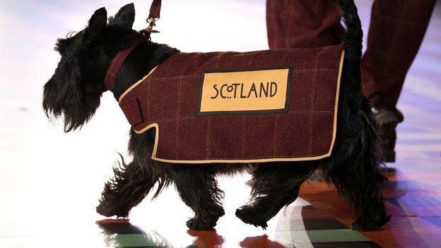 Scottie dogs stars of Commonwealth Games opening show
