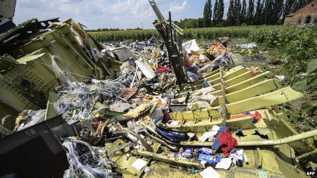 The crash site of the downed Malaysia Airlines flight MH17, in a field near the village of Grabove, in the Donetsk region, 23 July 2014
