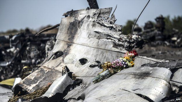 Wreckage of MH17, 26 Jul 14