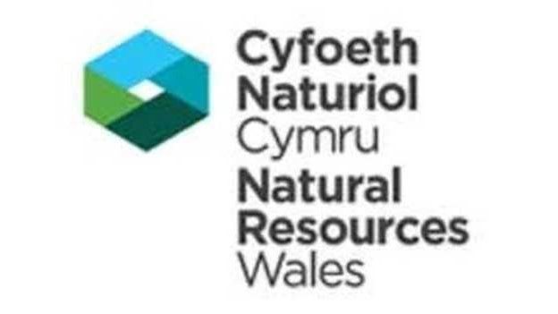 Symbol Cyfoeth Naturiol Cymru