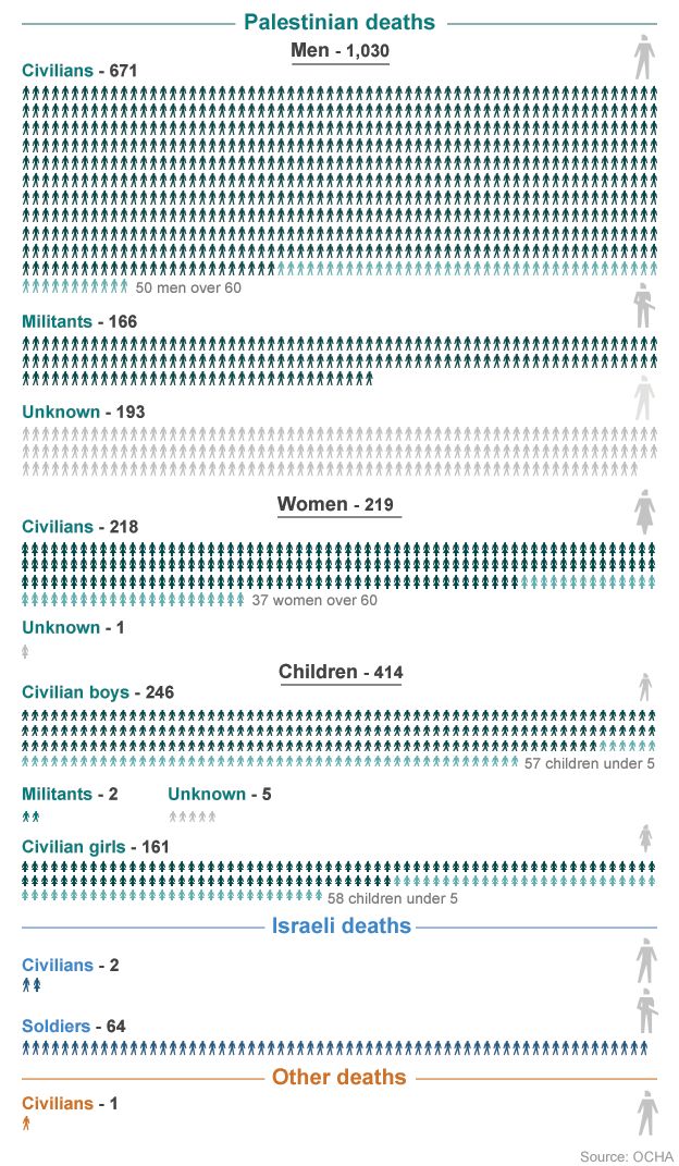 Infographic of the people killed in the recent Gaza conflict