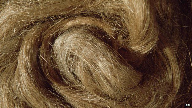 hemp fibres