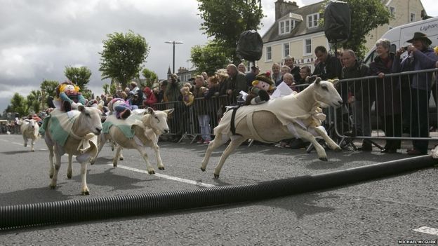 In pictures: Moffat sheep races - BBC News