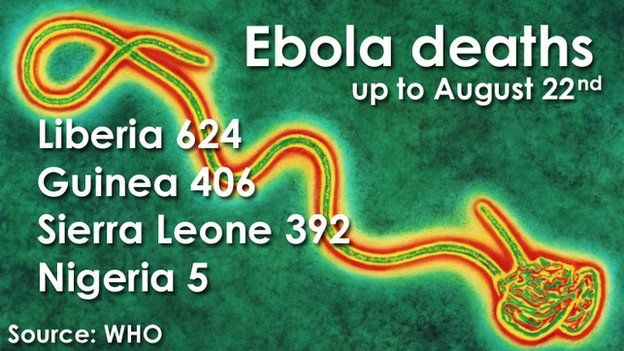 The Ebola Virus