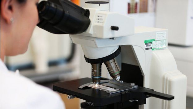Microscope