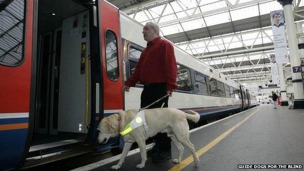 Guide dog and owner