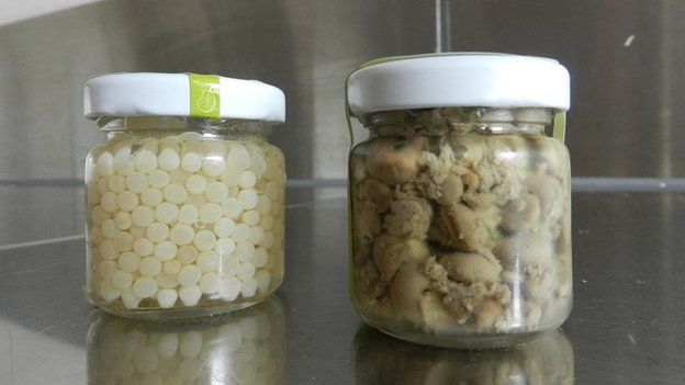 Jars of snail eggs (left) and snail livers