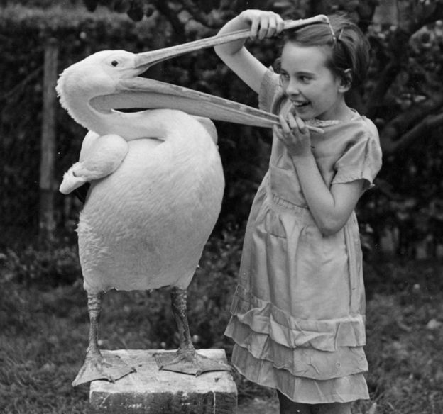 June plays with a pelican
