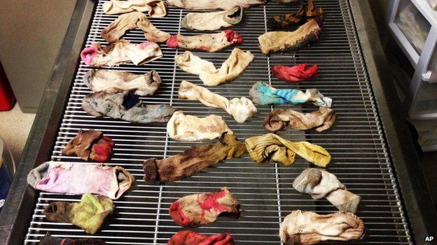 This February 2014 photo provided by DoveLewis Emergency Animal Hospital shows socks that were removed from a dogs stomach in Portland, Ore