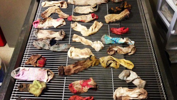 This February 2014 photo provided by DoveLewis Emergency Animal Hospital shows socks that were removed from a dogs stomach in Portland, Ore