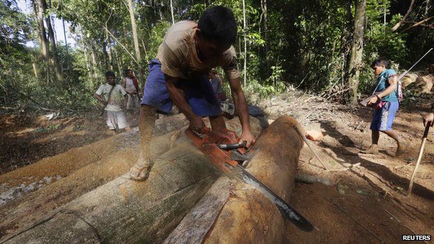 A Ka"apor Indian warrior uses a chainsaw to ruin one of the logs they found during a jungle expedition to search for and expel loggers from the Alto Turiacu Indian territory, near the Centro do Guilherme municipality in the northeast of Maranhao state in the Amazon basin, August 7